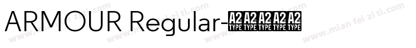 ARMOUR Regular字体转换